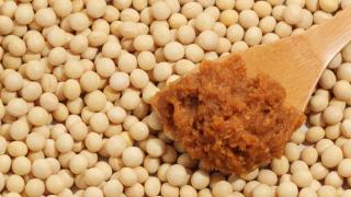 Japanische Sojabohnen